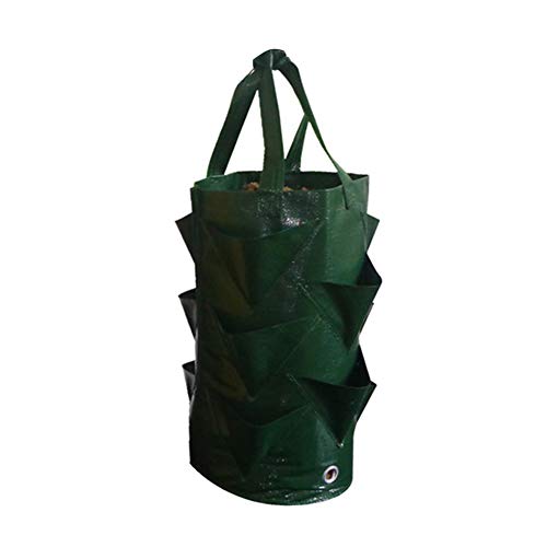 LemonG Strawberry Grow Bag, 3 Gallon Gardens Vertical Hanging Plan...
