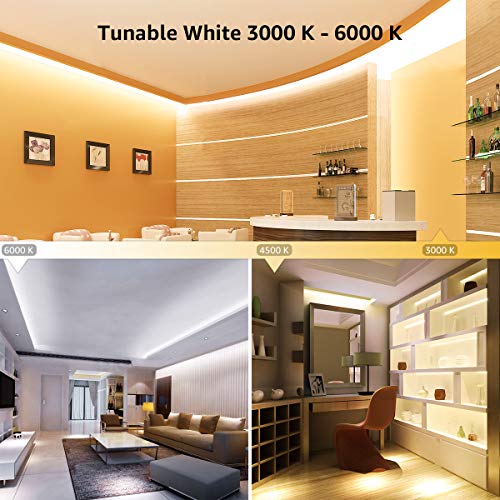 Lepro LED Strip Light, 3000K-6000K Tunable White, 16.4ft Dimmable ...