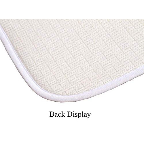 LESGAULEST Doormat Floor Rug/Mat 23.6 x 15.7 inch - Wild Flower ...