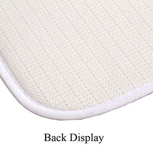LESGAULEST Doormat Floor Rug/Mat 23.6 x 15.7 inch - Wild Leek Pu...