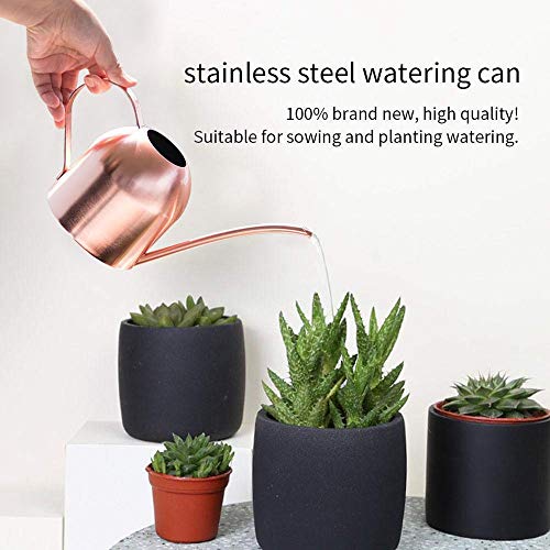 Lesgos Rose Gold Watering Can, 500 ml Metal Watering Can, Garden P...