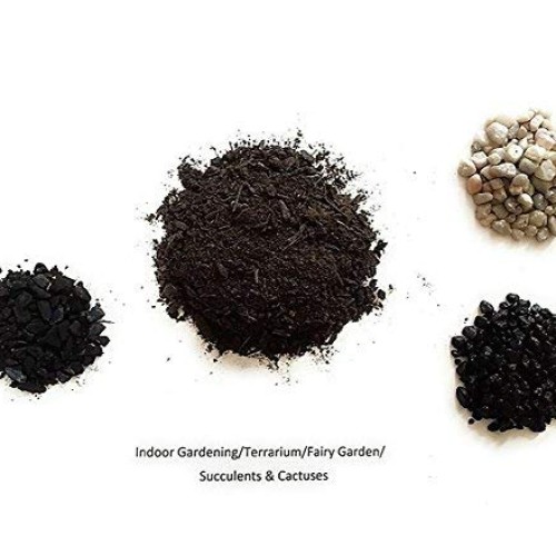 Let It Grow Terrarium Design Kit Brown/Black