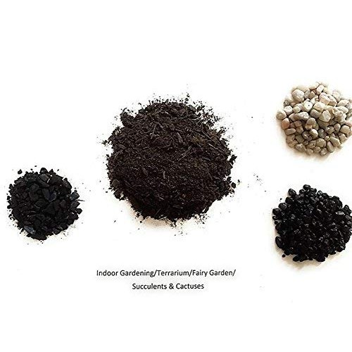 Let It Grow Terrarium Design Kit Brown/Black