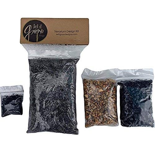 Let It Grow Terrarium Design Kit Brown/Black