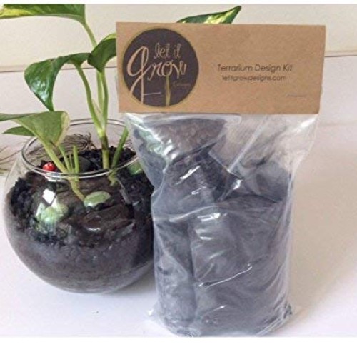 Let It Grow Terrarium Design Kit Brown/Black