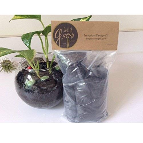 Let It Grow Terrarium Design Kit Brown/Black