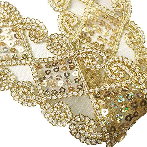 levylisa 10 Yards Beaded Lace Trim Sequins Lace Mesh Trim Lace Rib...