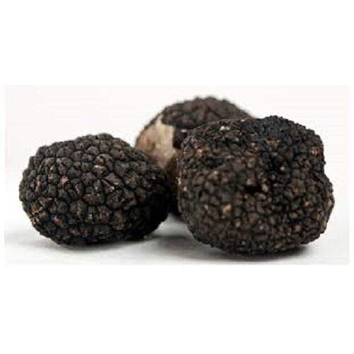 LGKO Black Oregon Truffle Mushroom Spores Spawn/Mycelium on Dry s...