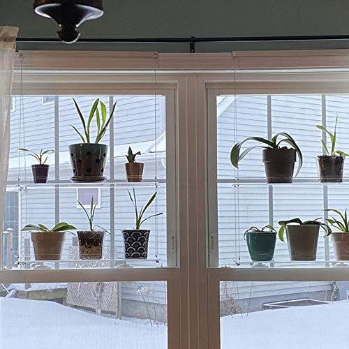 LIEIKIC Two Tier Window Plant Shelf Indoor Hanging Shelf Plant She...