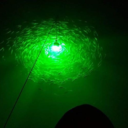 Lightingsky 12V 10.8W 180 LEDs 1080 Lumens LED Submersible Fishing...