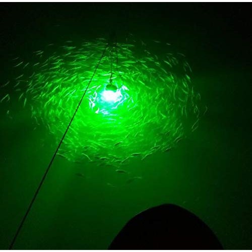 Lightingsky 12V 10.8W 180 LEDs 1080 Lumens LED Submersible Fishing...