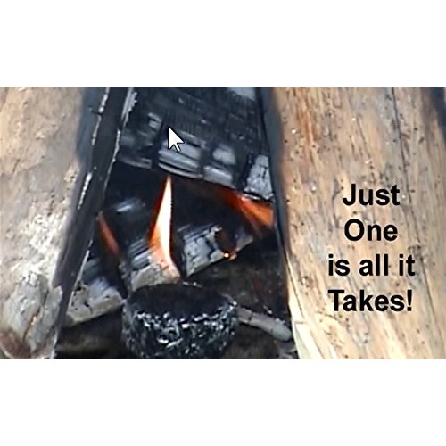 Lightning Nuggets N100SEB Super Economy Box Fire Starter 100, Coun...