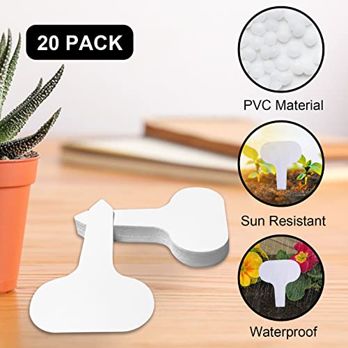 LINGARDEN Watering Can Indoor Plants, Garden Watering Can with 20 ...