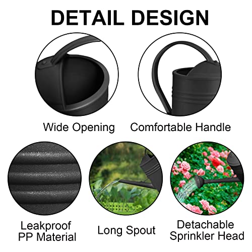 LINGARDEN Watering Can Indoor Plants, Garden Watering Can with 20 ...