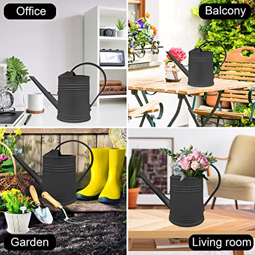 LINGARDEN Watering Can Indoor Plants, Garden Watering Can with 20 ...