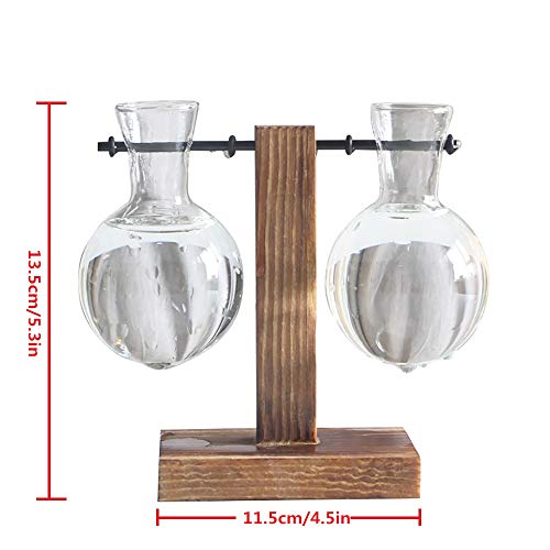 Desktop Hydroponic Glass Vase, Vintage Plant Terrarium, Water Plan...