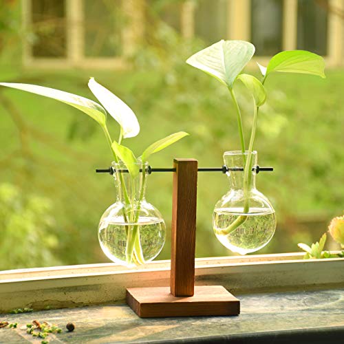 Desktop Hydroponic Glass Vase, Vintage Plant Terrarium, Water Plan...