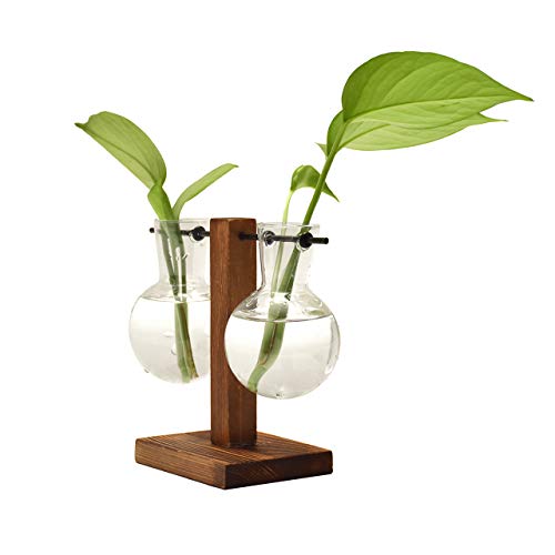 Desktop Hydroponic Glass Vase, Vintage Plant Terrarium, Water Plan...