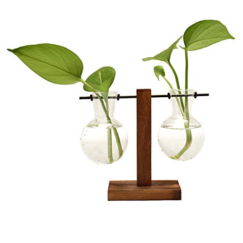 Desktop Hydroponic Glass Vase, Vintage Plant Terrarium, Water Plan...