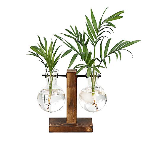 Desktop Hydroponic Glass Vase, Vintage Plant Terrarium, Water Plan...