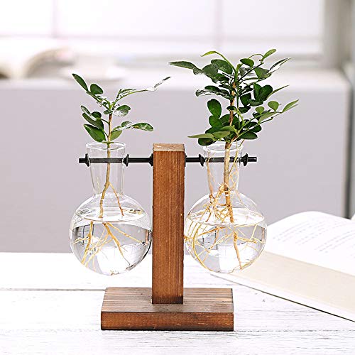 Desktop Hydroponic Glass Vase, Vintage Plant Terrarium, Water Plan...