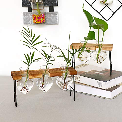 LINGNI Plant Terrarium Vase, Clear Bulb Vase with Wooden Stand, De...