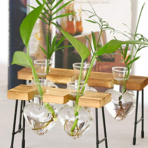 LINGNI Plant Terrarium Vase, Clear Bulb Vase with Wooden Stand, De...