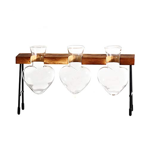 LINGNI Plant Terrarium Vase, Clear Bulb Vase with Wooden Stand, De...