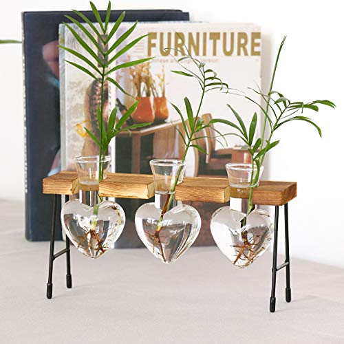 LINGNI Plant Terrarium Vase, Clear Bulb Vase with Wooden Stand, De...