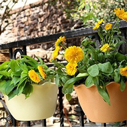 Wall Planter Hanging Flower Plant Pot Indoor or Outdoor Container ...