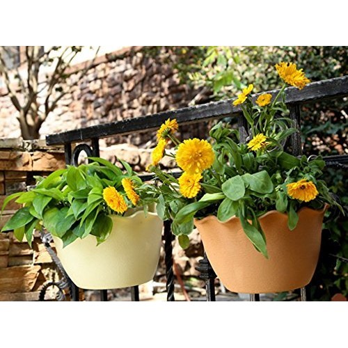 Wall Planter Hanging Flower Plant Pot Indoor or Outdoor Container ...