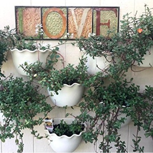 Wall Planter Hanging Flower Plant Pot Indoor or Outdoor Container ...