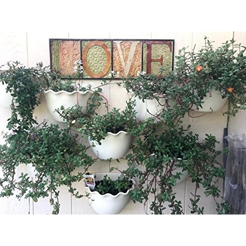 Wall Planter Hanging Flower Plant Pot Indoor or Outdoor Container ...