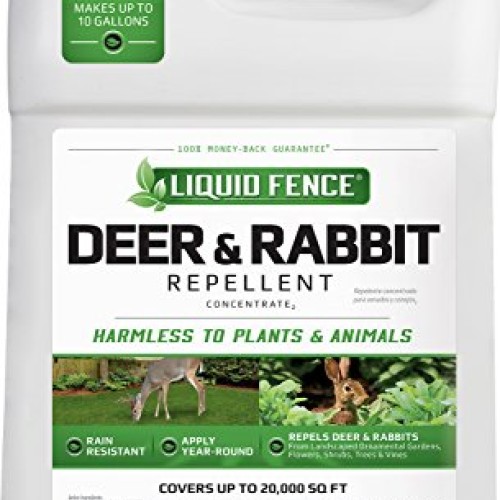Liquid Fence Deer & Rabbit Repellent Concentrate, 1-Gallon