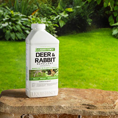 Liquid Fence Deer & Rabbit Repellent Concentrate, 40-Ounce