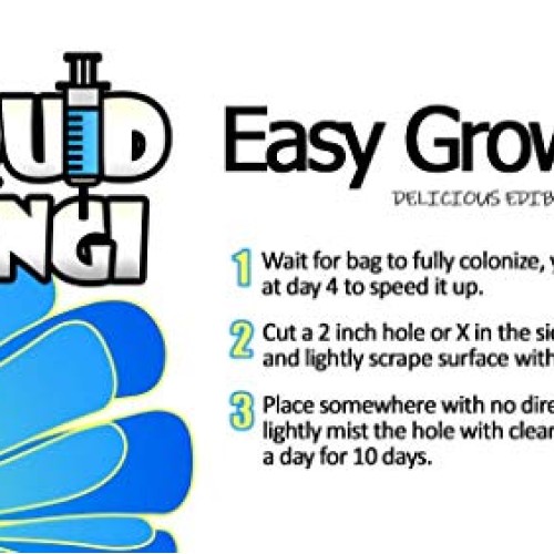Lions Mane Easy Mushroom Grow Kit - XL 5 Pound