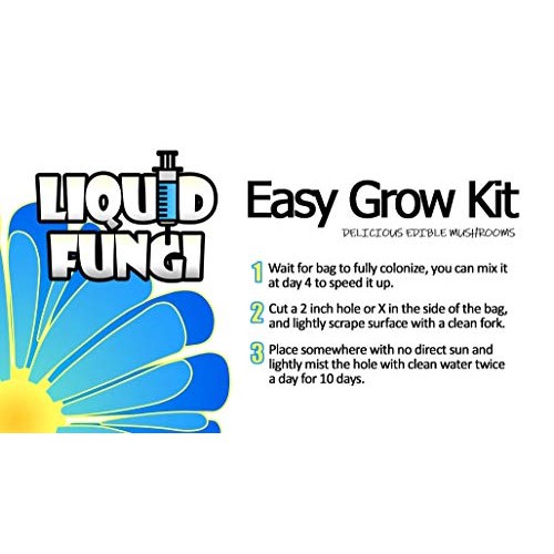Lions Mane Easy Mushroom Grow Kit - XL 5 Pound