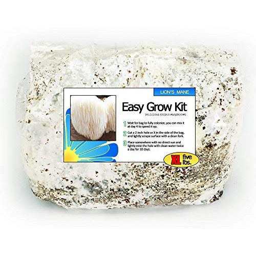 Lions Mane Easy Mushroom Grow Kit - XL 5 Pound