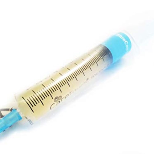 Liquid Fungi Florida Grey Oyster Mushroom Culture Syringe - Spore ...