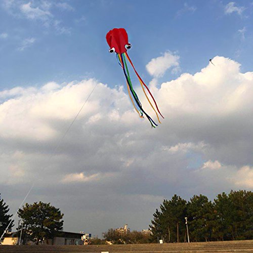 Listenman 2 Pack Kites - Large Rainbow Delta Kite and Red Mollusc ...