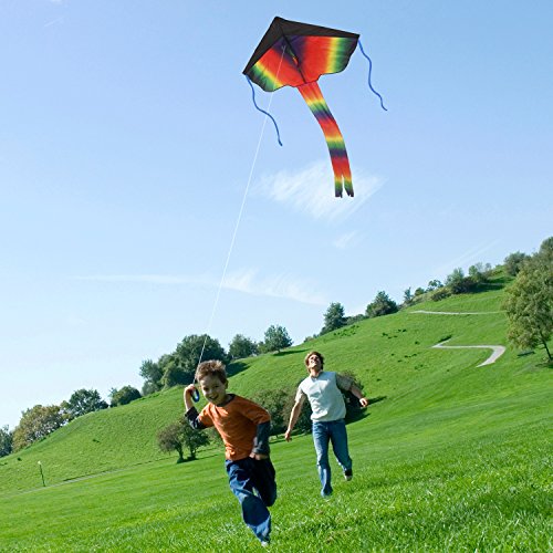 Listenman 2 Pack Kites - Large Rainbow Delta Kite and Red Mollusc ...
