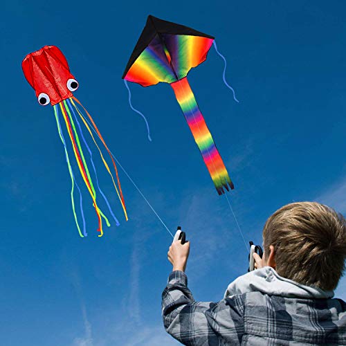 Listenman 2 Pack Kites - Large Rainbow Delta Kite and Red Mollusc ...
