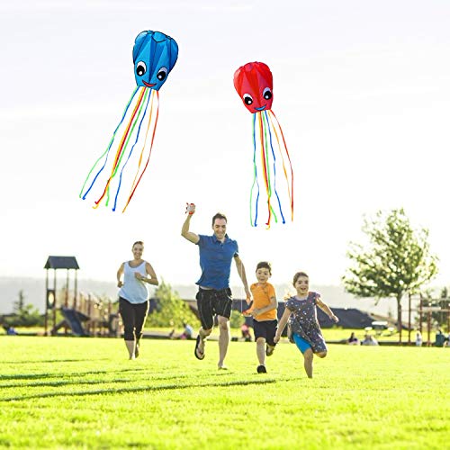 Listenman 2-Pack New Upgraded Smiley Large Octopus Kites, Easy to ...
