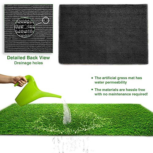 LITA Premium Artificial Grass 28 in x 40 in 7.7 Square FT Realis...