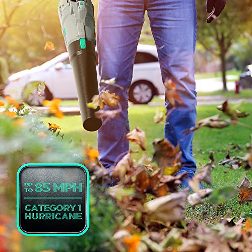 Litheli 20V Cordless Battery Leaf Blower, 4.0Ah Battery& Charger, ...