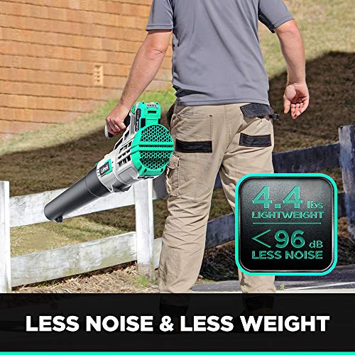 Litheli 20V Cordless Battery Leaf Blower, 4.0Ah Battery& Charger, ...