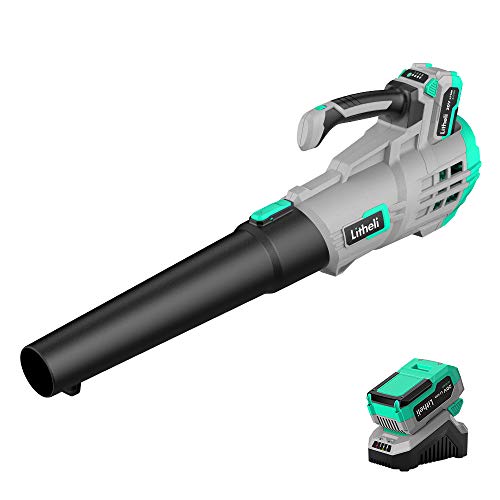 Litheli 20V Cordless Battery Leaf Blower, 4.0Ah Battery& Charger, ...