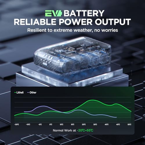LiTHELi Battery Pack 20V, 2.0Ah Replacement Lithium Batteries U20 ...
