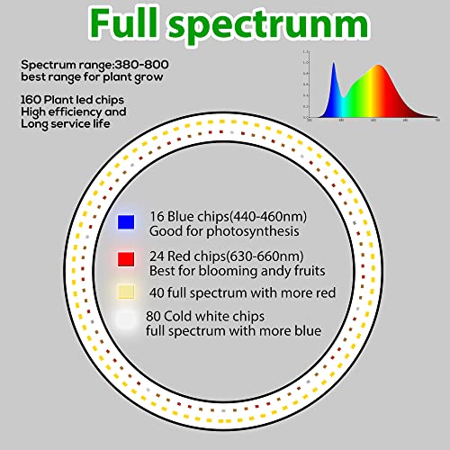 10 LED Ring Grow Lights for Indoor Plants, 160LEDs 6000K Full Spe...