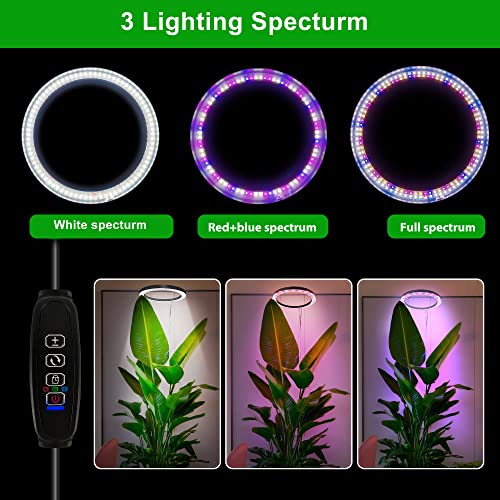 10 LED Ring Grow Lights for Indoor Plants, 160LEDs 6000K Full Spe...